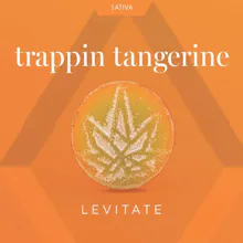 Levitate - 200mg Single Gummy - Trappin Tangerine