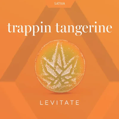 Levitate - 200mg Single Gummy - Trappin Tangerine