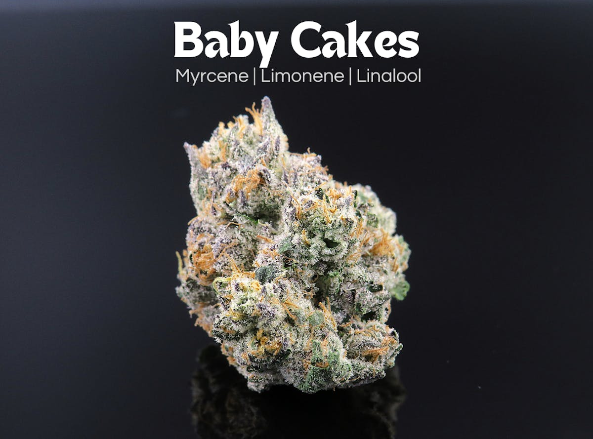 Photo of Baby Cakes