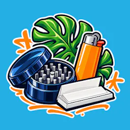 Accessories category image