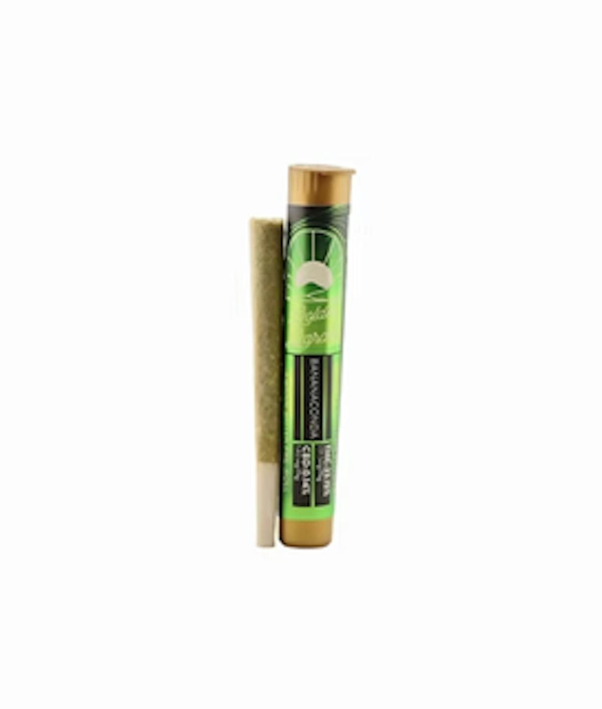 Photo of Golden Garden | Banana Conda | Pre-Roll 1g