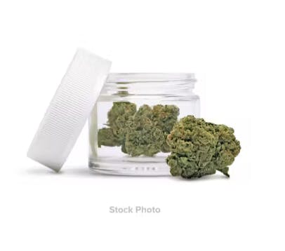 Product: Distro 10 | Bulk Bud - Caramel Cream Sungrown