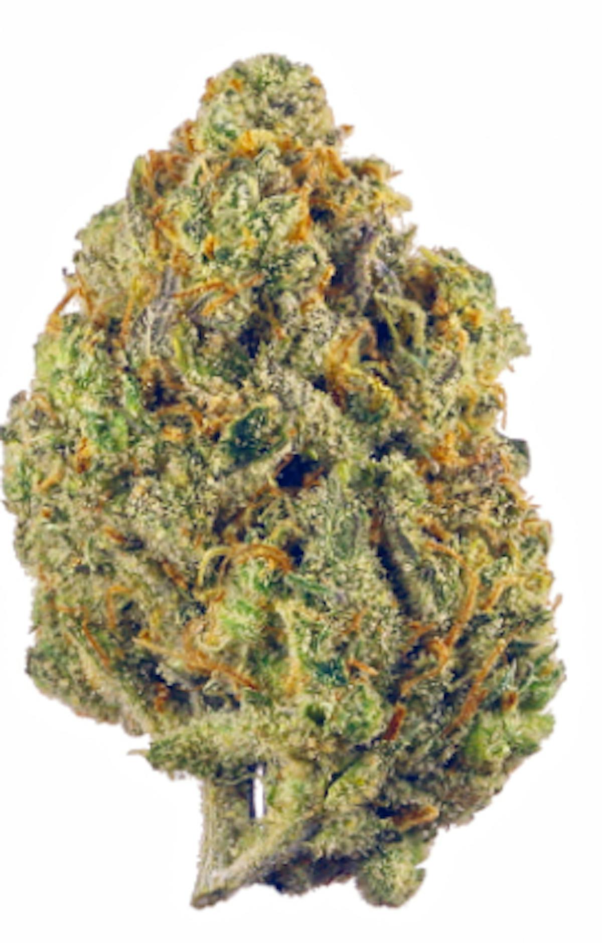 Photo of Popcorn Shelf – Tropicanna Cookies #1 (S)