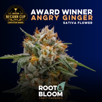 Product Angry Ginger Buds