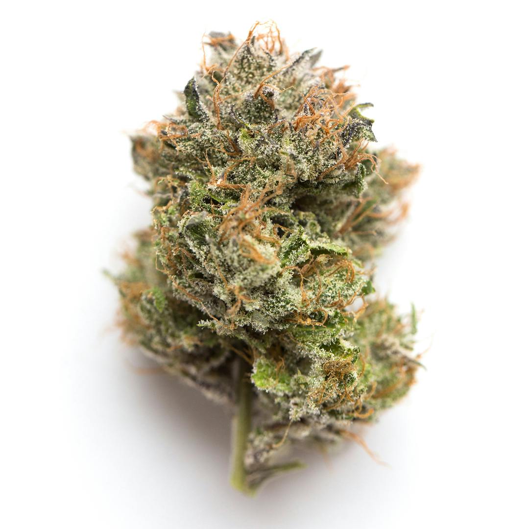 Aeterna Flower | 3.5g | Gelato 33