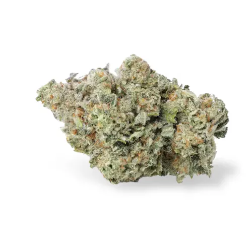 Kynd | Team GP 2.83g | Indica-active
