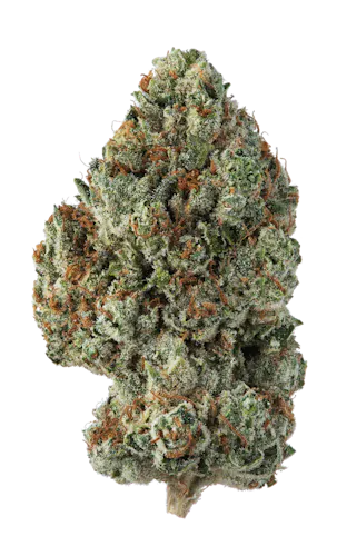 Shop Khalifa Kush Products in Hagerstown | DISTRICT Shop Khalifa Kush Products in Hagerstown | DISTRICT
