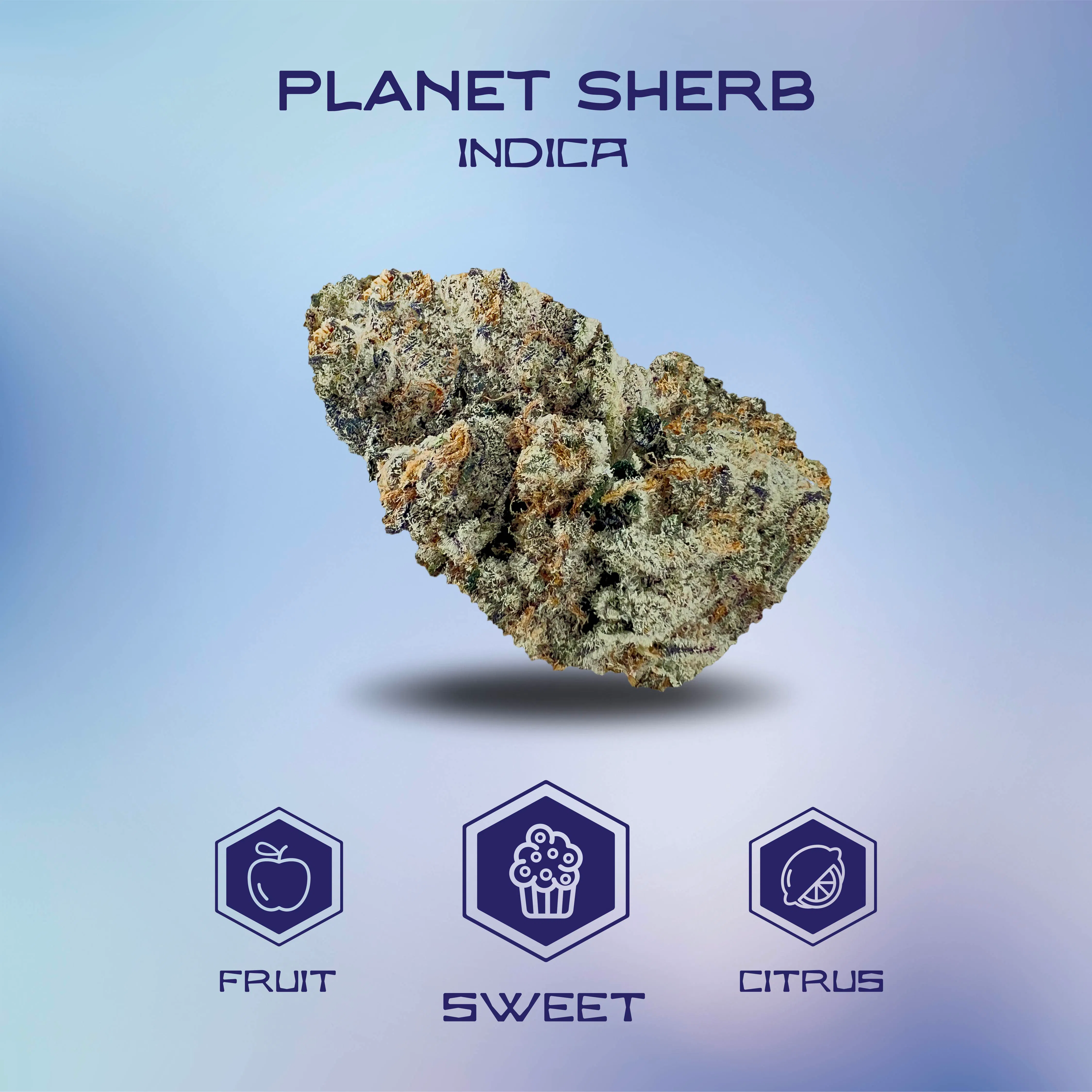 Flower | Island | Planet Sherb | Mission (South Chicago) MED