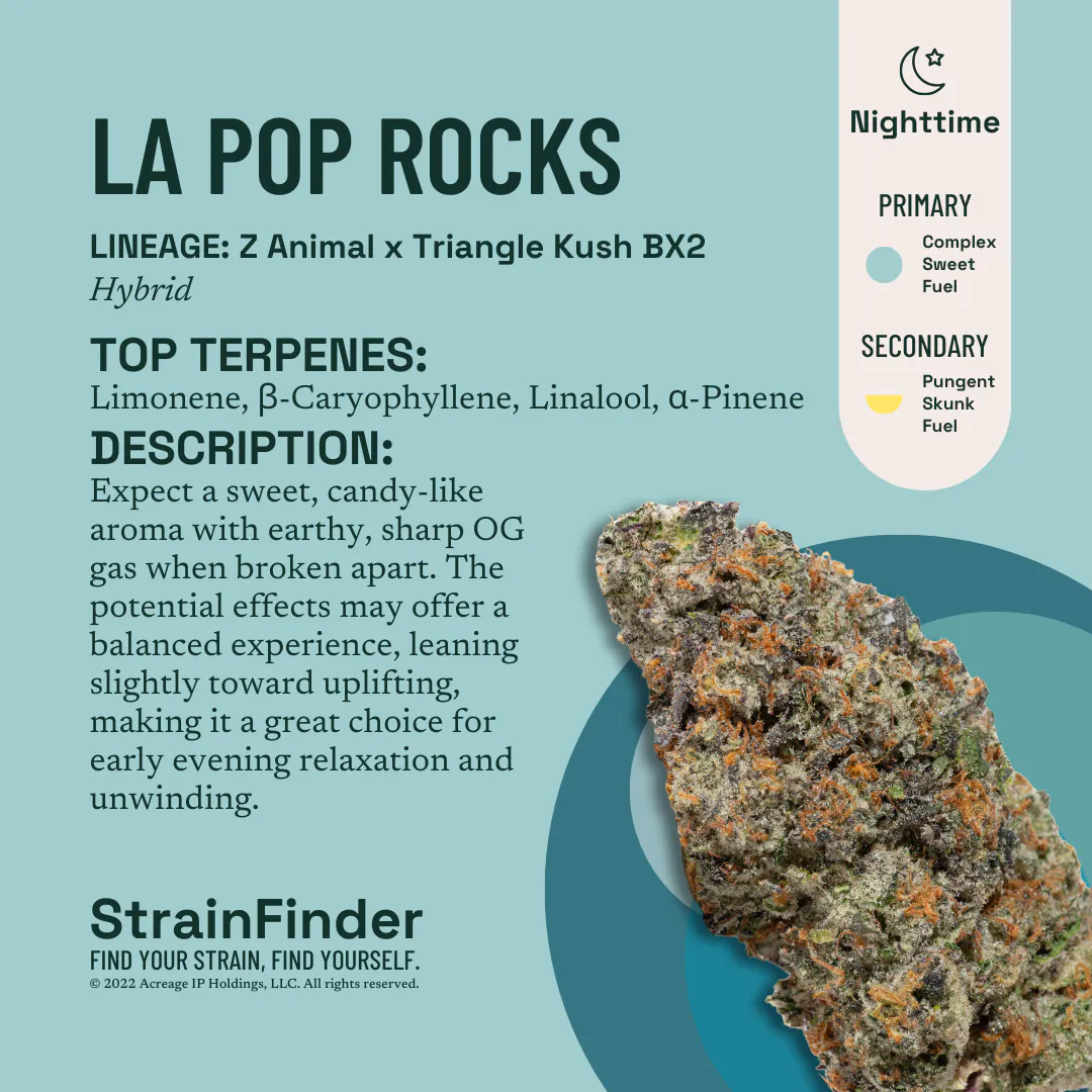 Shop LA Pop Rockz - 7g Whole Flower in Shrewsbury | The Botanist