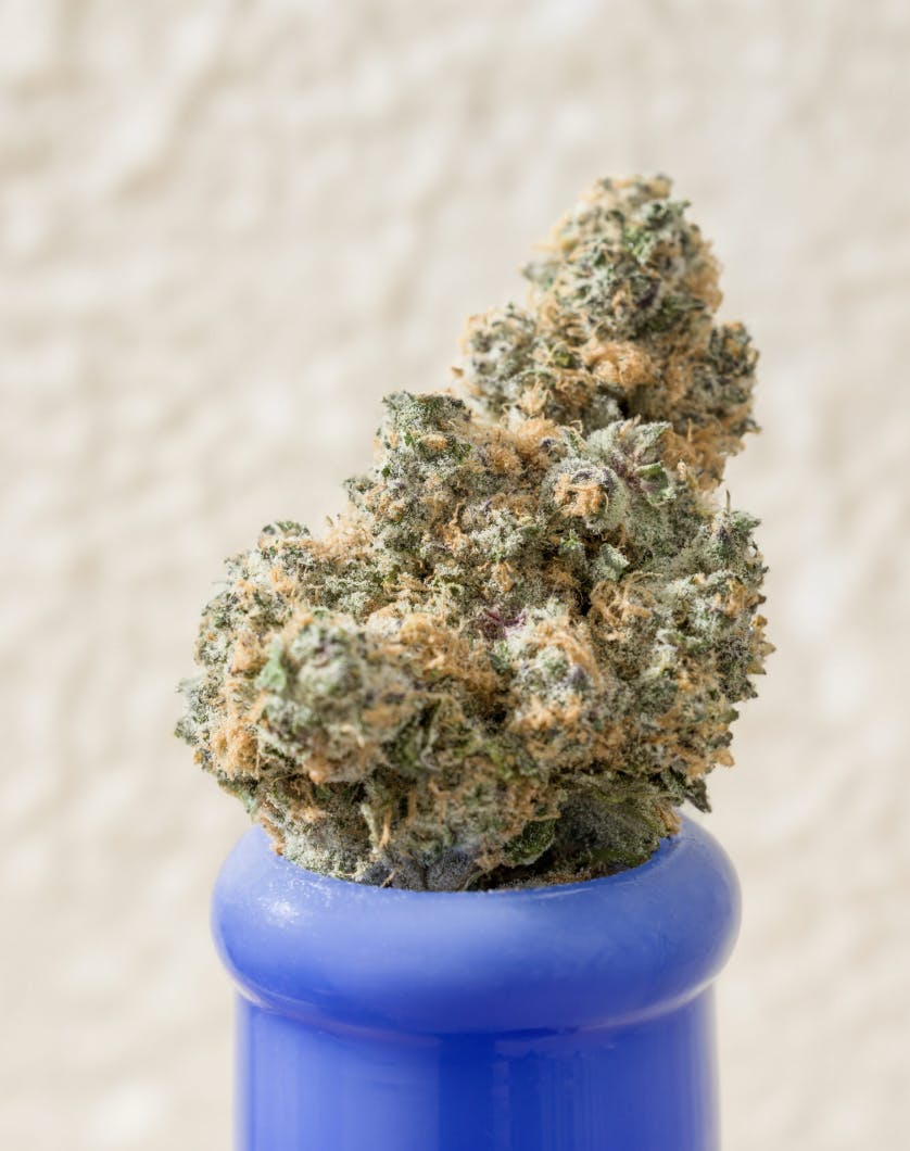 Product: Super Boof | Glacier