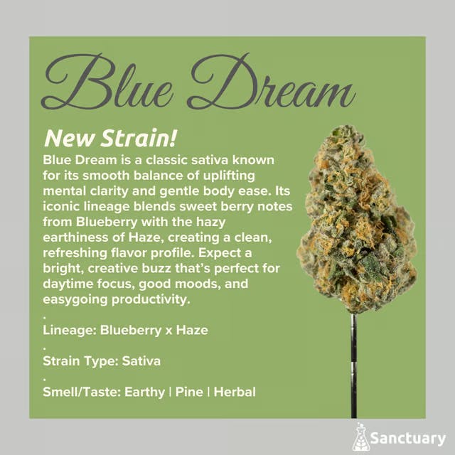 Sanctuary - Pre-Roll - Blue Dream