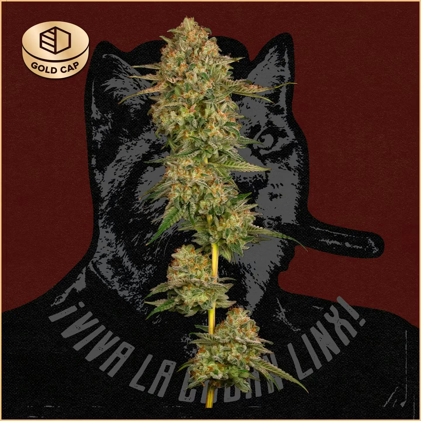 CommCan - Flower 3.5g - Cuban Linx