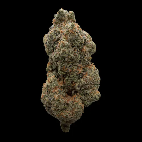 Sensei | Jar | 1353 | 3.5g-active