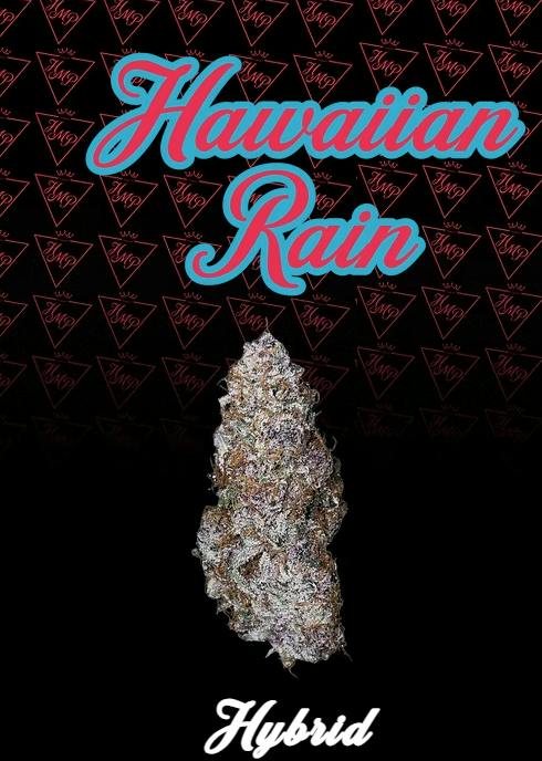 Product Hawaiian Rain Buds