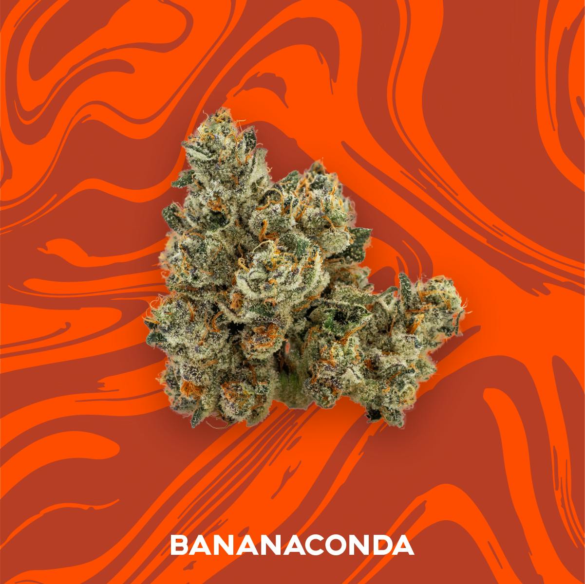 Vivid Bananaconda for Sale Missouri - ReLeaf Resources Marijuana Dispensary