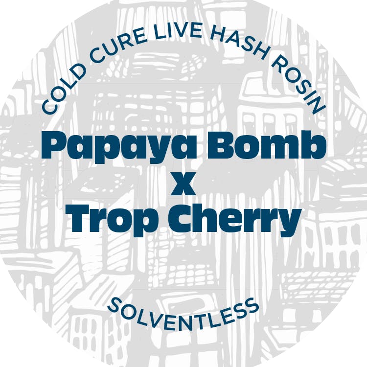 Papaya Bomb x TC | Live Rosin Concentrate (1g)