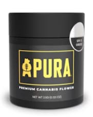 Pura - 3.50g Premium Jarred Flower | Indoor - Blue Cookies - Hybrid