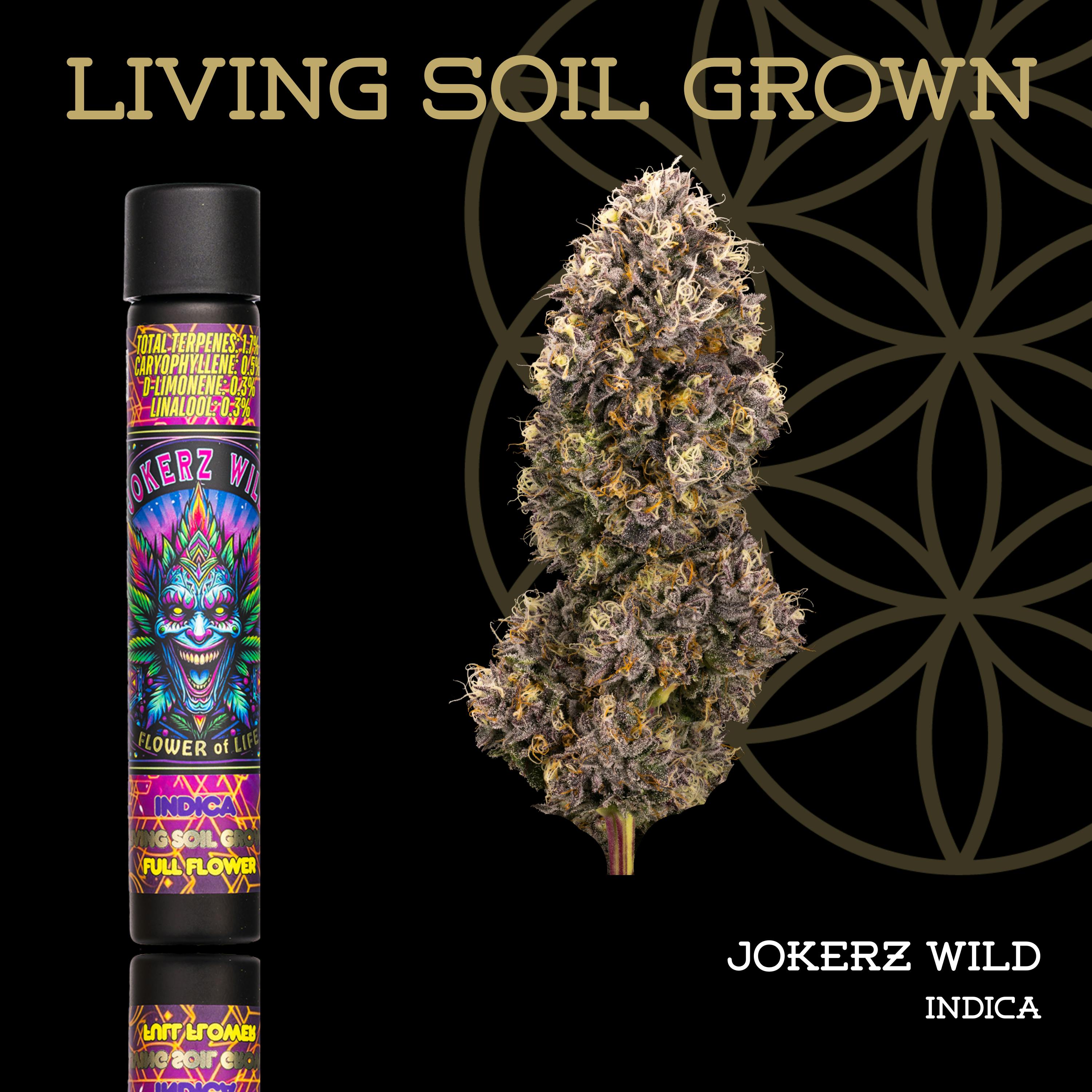 Product: Flower of Life | Living Soil | Jokerz Wild | Pre-Roll | 1g