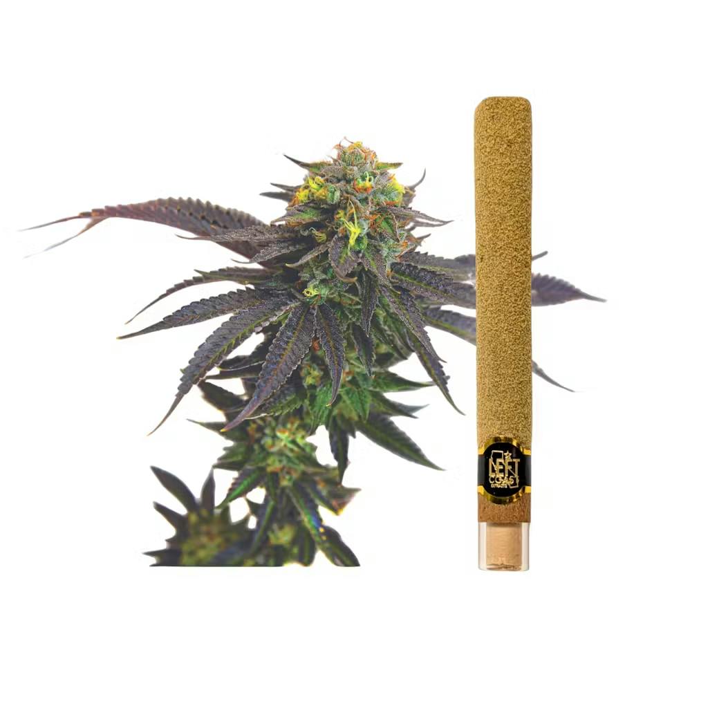 Left Coast - 2g Infused Blunt - Grape Cookie