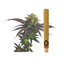 Left Coast - 2g Infused Blunt - Grape Cookie