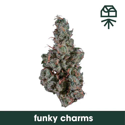 Grassroots | RSO Syringe | Funky Charms (H)-2