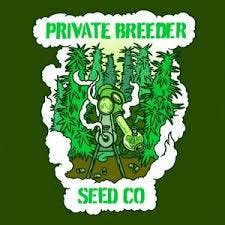 Private Breeder Seed Co. | Gorilla Haze F2 | 12pk Hemp Seeds