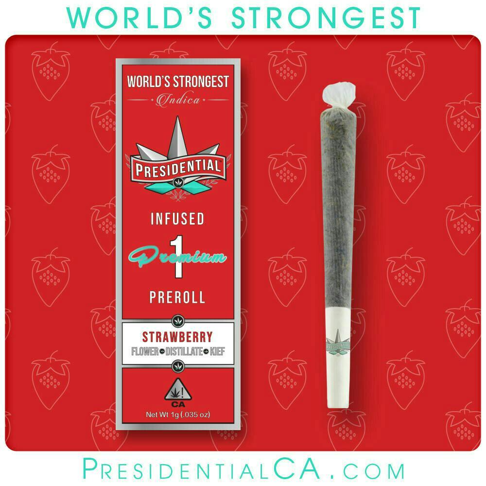 Presidential - 1g Moon Rock Infused Preroll - Strawberry