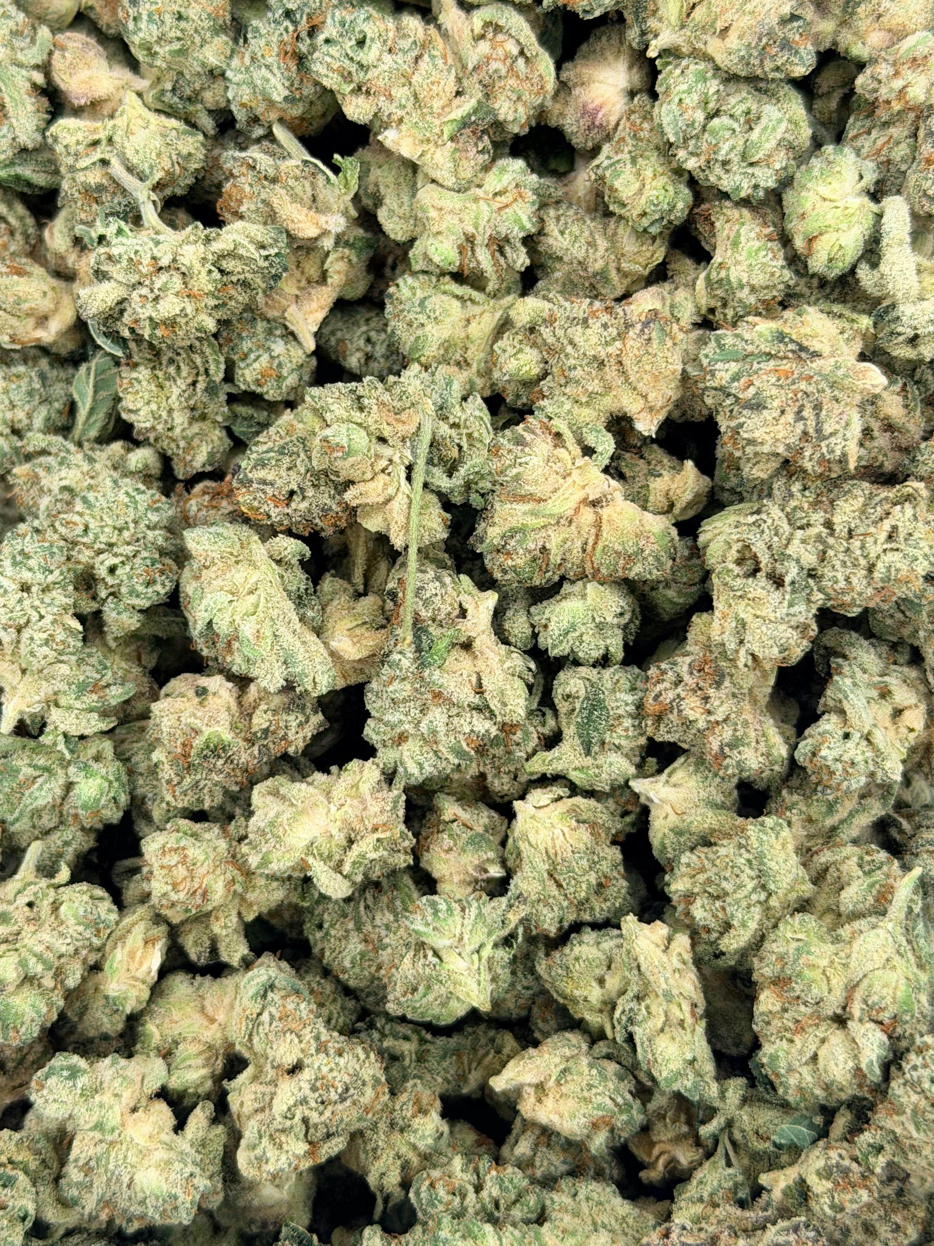 Pave | Deli Flower Smalls (Bronze)