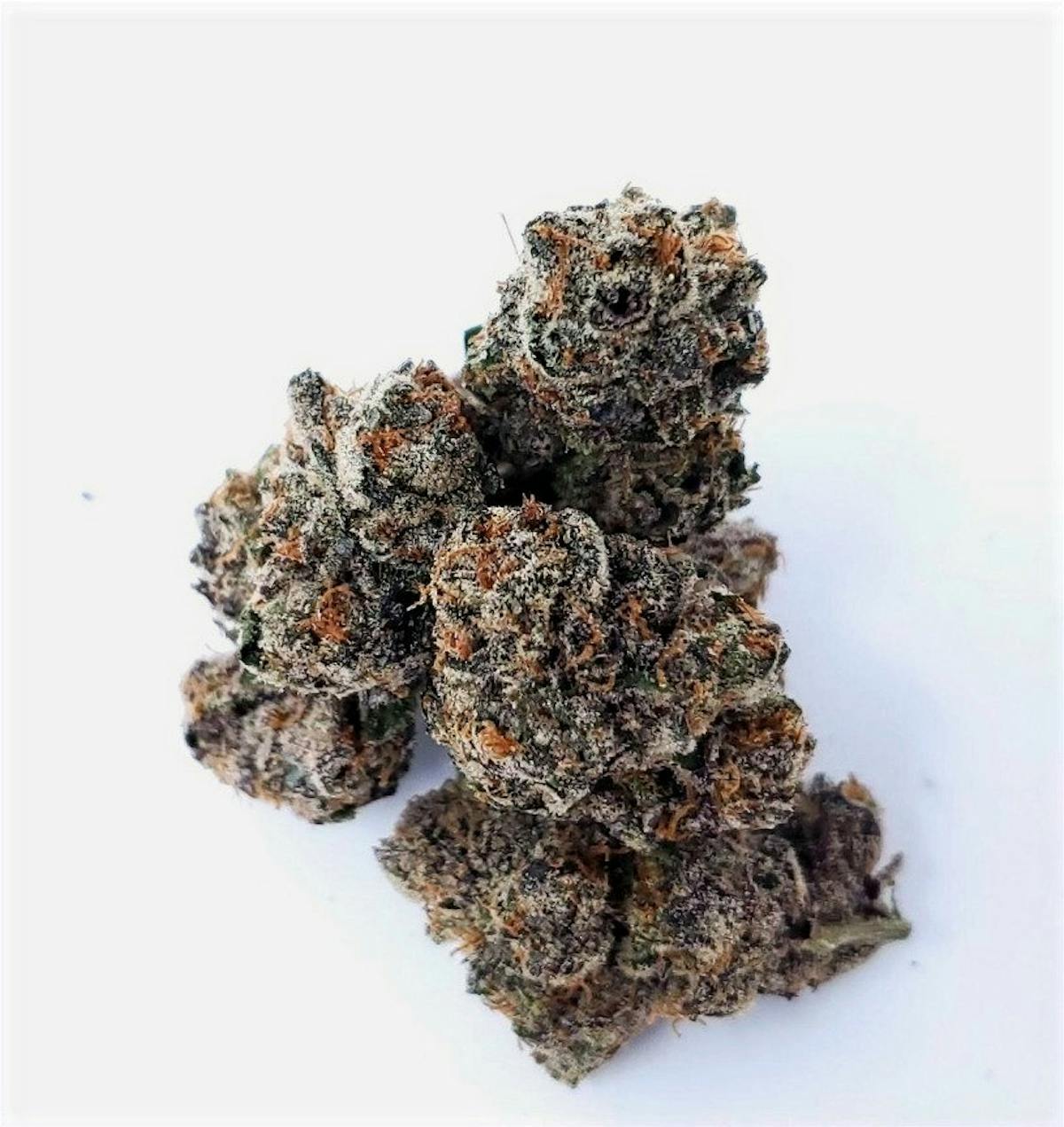 Image of Bacio Gelato 41 Cryo Kush | 3.5g