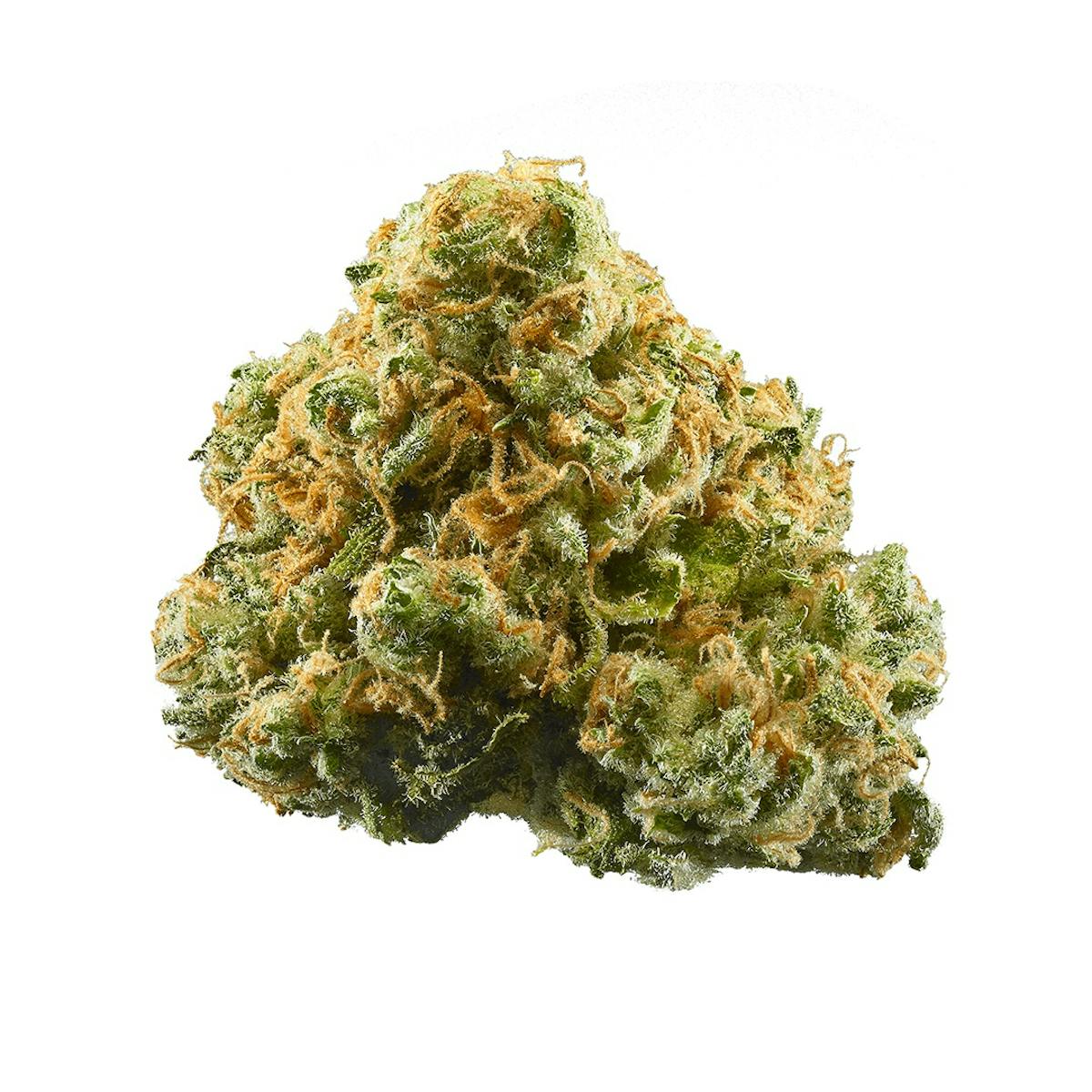 Image of Kazuma | 3.5g Flower