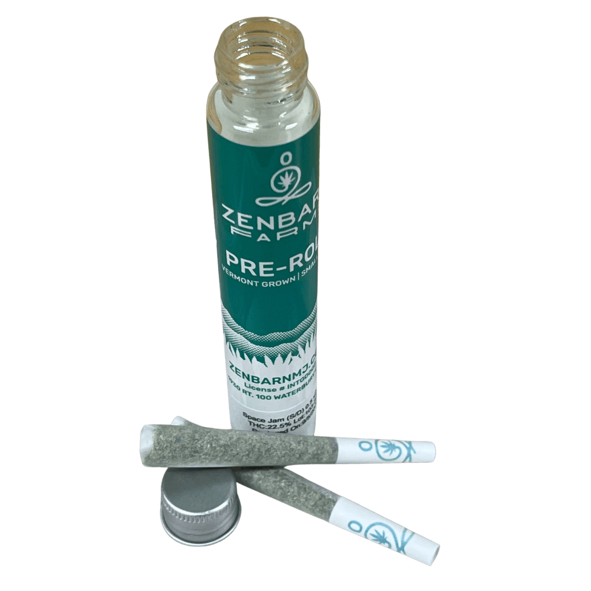 Image of Space Jam Preroll 2pk