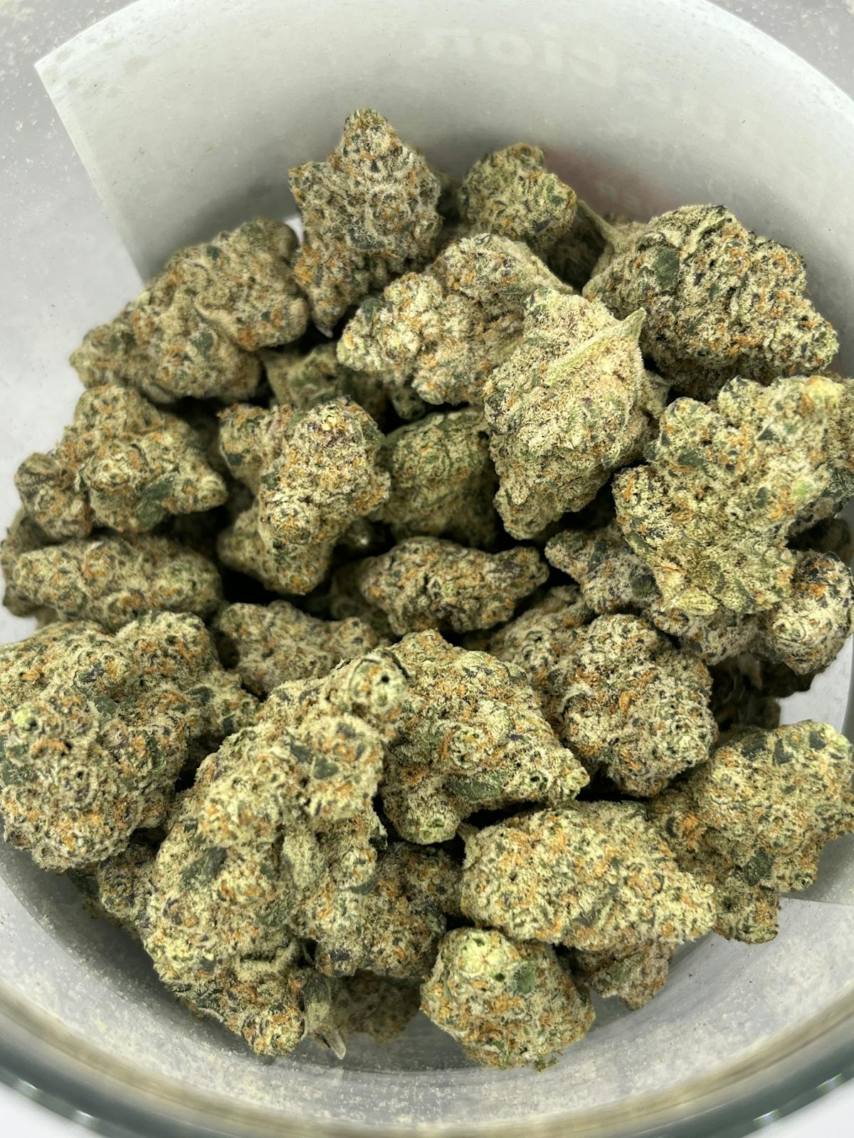Photo of Silver Shelf – Alien Abduction (H)