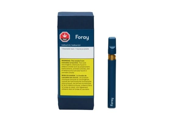 non refillable vapes Disposable Vapes vs. Refillable Vapes: Which is the Better Choice?