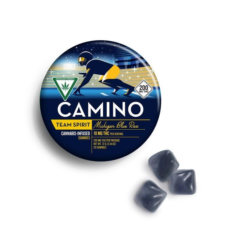 Camino Camino | Gummies | Michigan Blue Raz | 200mg - Pleasantrees
