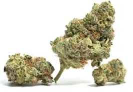 Product Dirty Squirt Buds