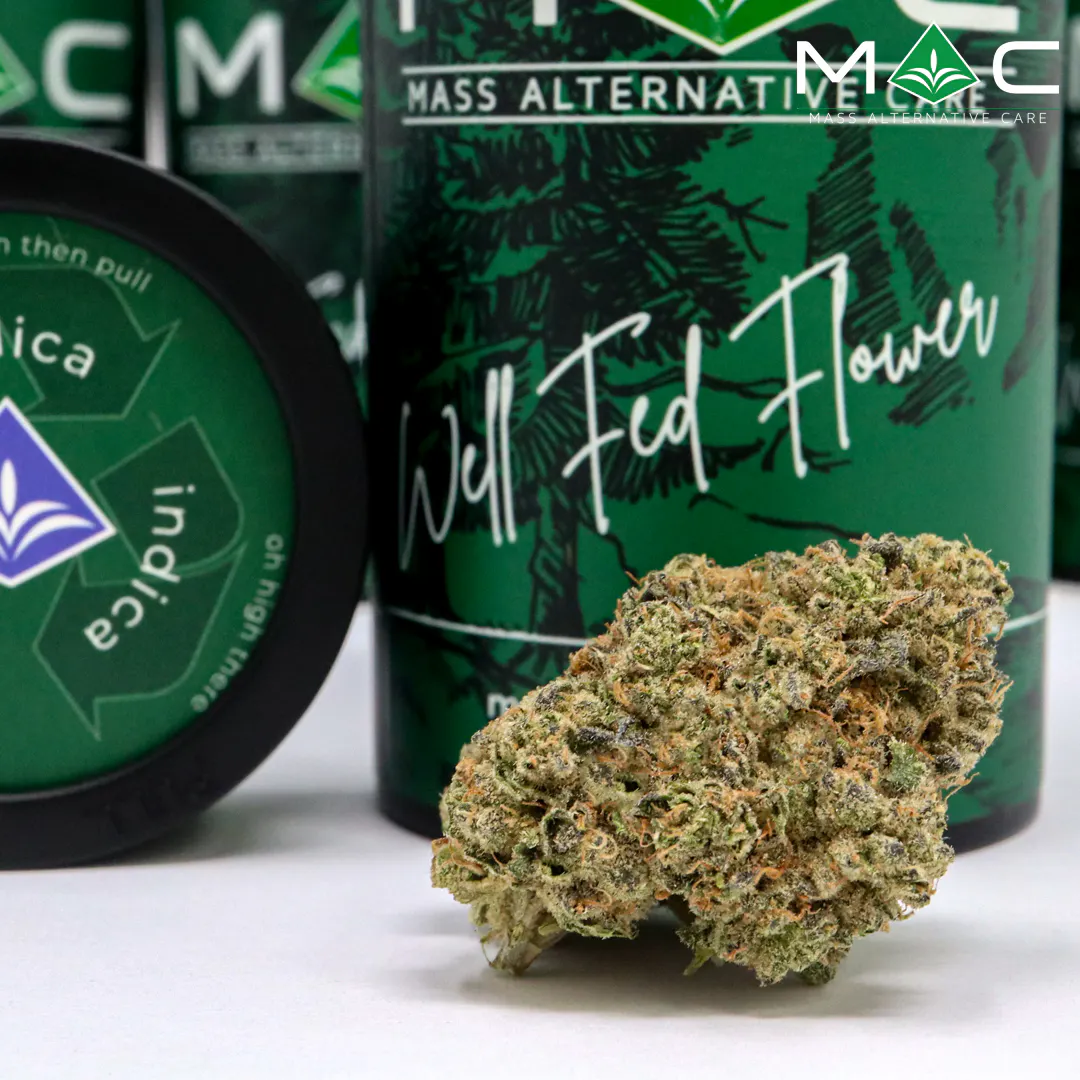 Zombie 1/8 29.75% TAC 3.17% Terpenes | Mass Alternative Care (Amherst)