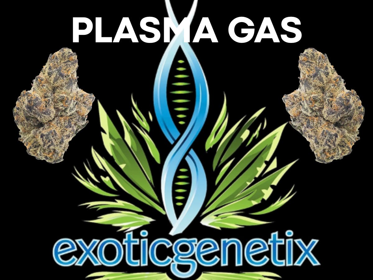 Product: EXOTIC GENETIX | PLASMA GAS | BULK | INDICA