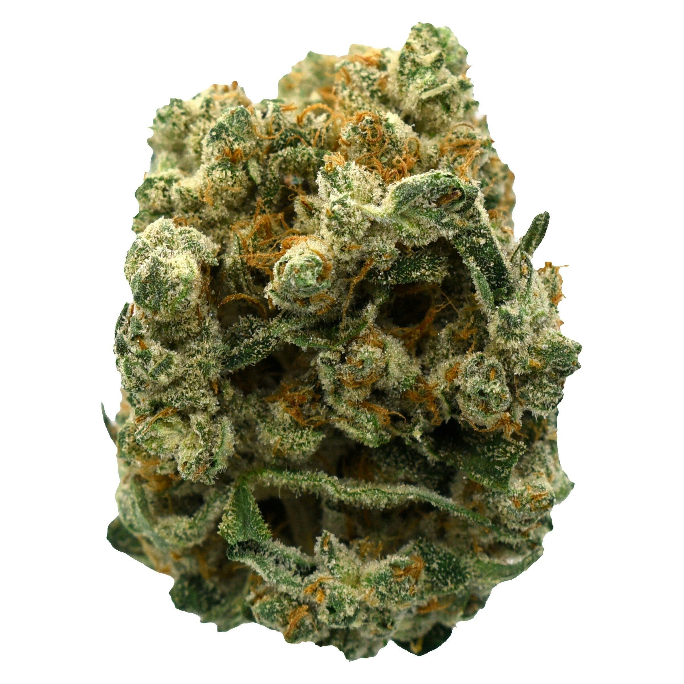 CANNABIS×Barbudos×yasuhide ono3点セット CANNABIS×Barbudos×yasuhide ono3点セット CANNABIS×Barbudos