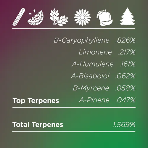 Deli Style | Chicken n Wafflez Pre-Ground | Sungrown – Indica – Hybrid-2