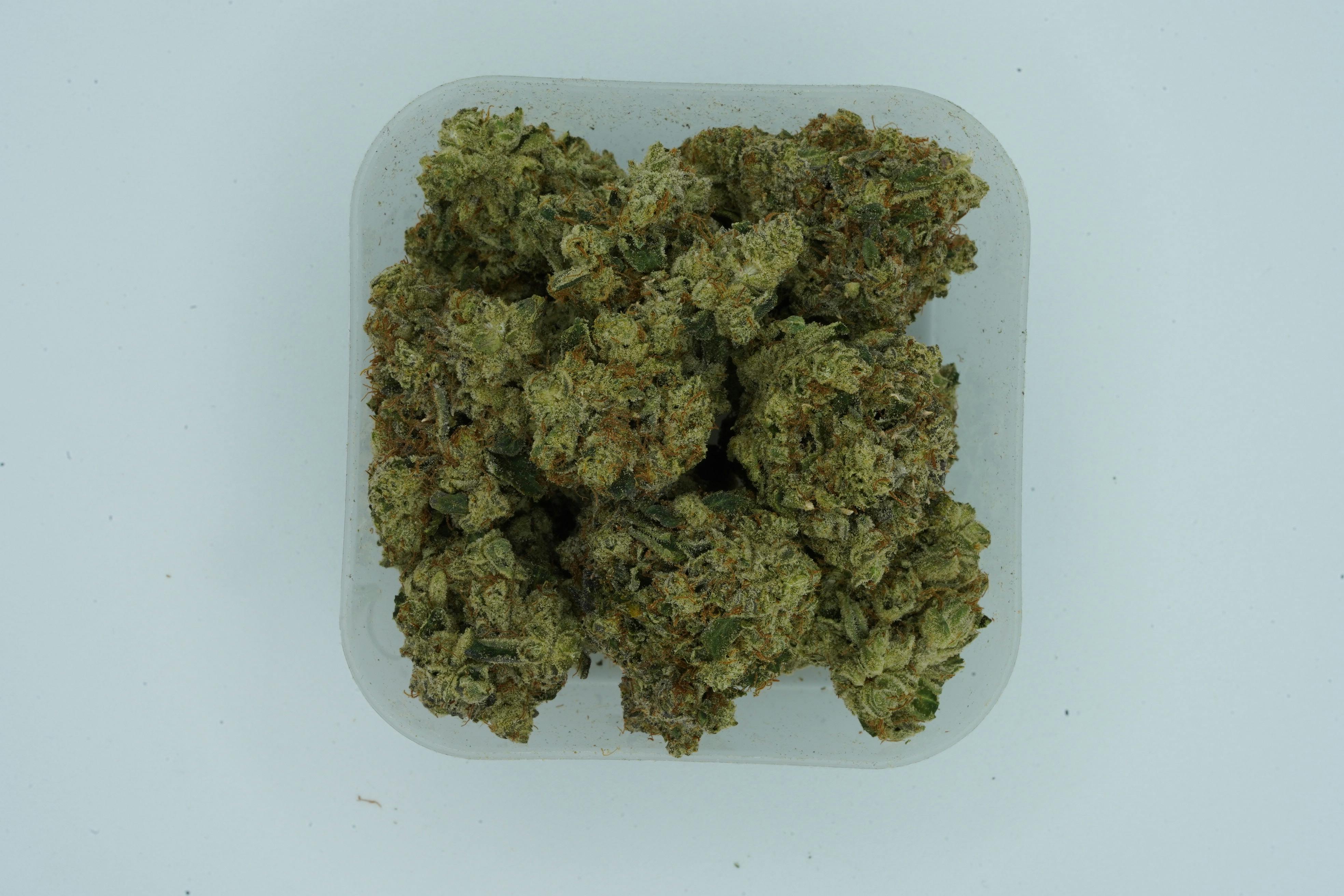 Product Image Alt
