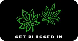 CBD category image