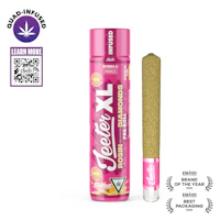 Bubba G Jeeter XL Infused Pre-Roll | 2g - product image at King of Budz