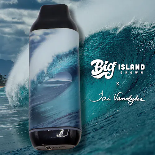 Ripped – BIG x Tai Vandyke Battery-active