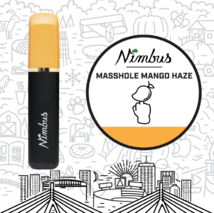 Product: Disposable [1g] | Masshole Mango