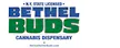 dispensary logo