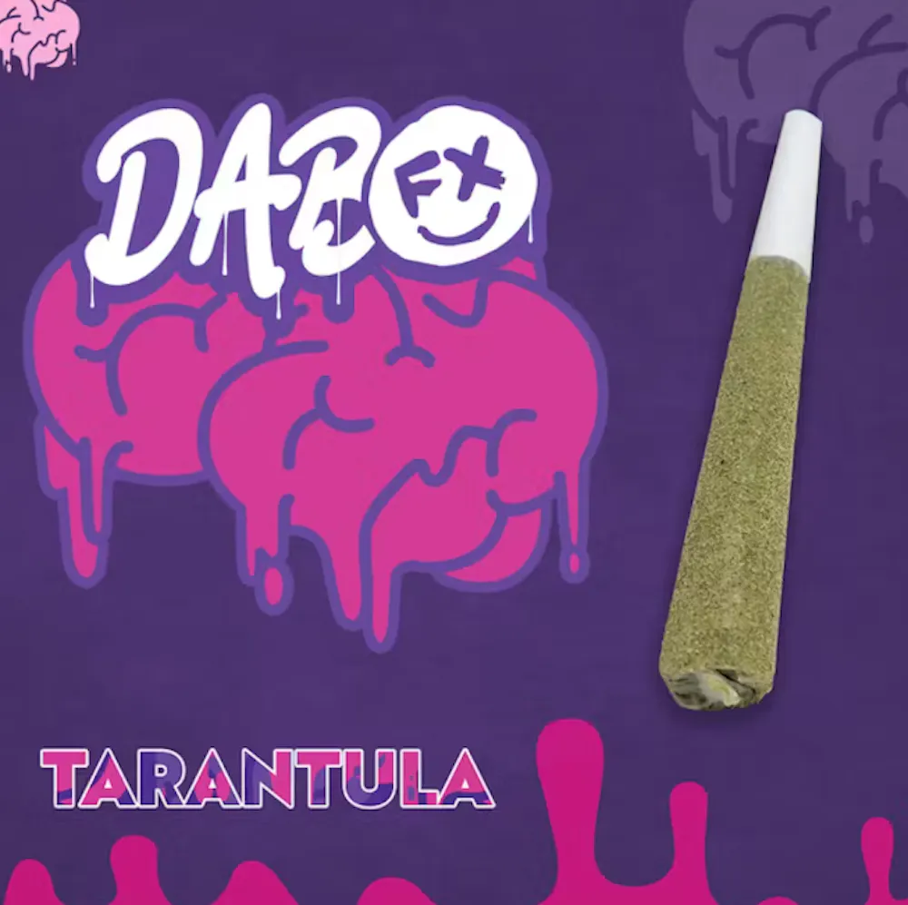 Product Tarantula | Pool Party | Infused Preroll