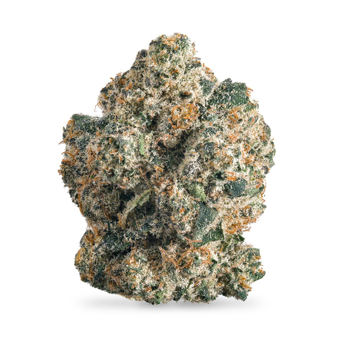 Photo of Waffle Cone