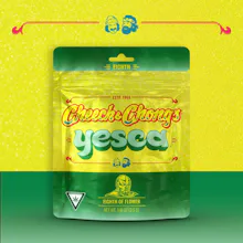 Cheech & Chong - 3.5g - Yesca