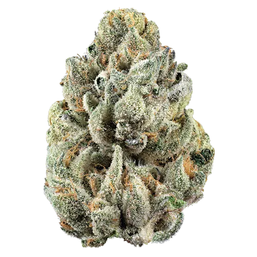 Woodward | Beach Wedding (Minis) 14.15g | Hybrid-active