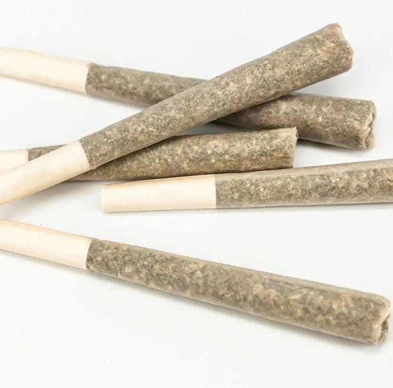 Shampine - .5g Infused Preroll 5pk - Frozen Garlic Butter